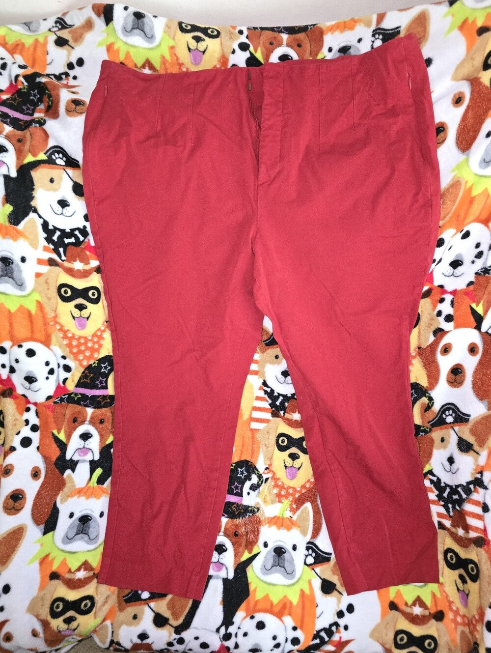 Old Navy Red Womens Pixie Pants Size 22